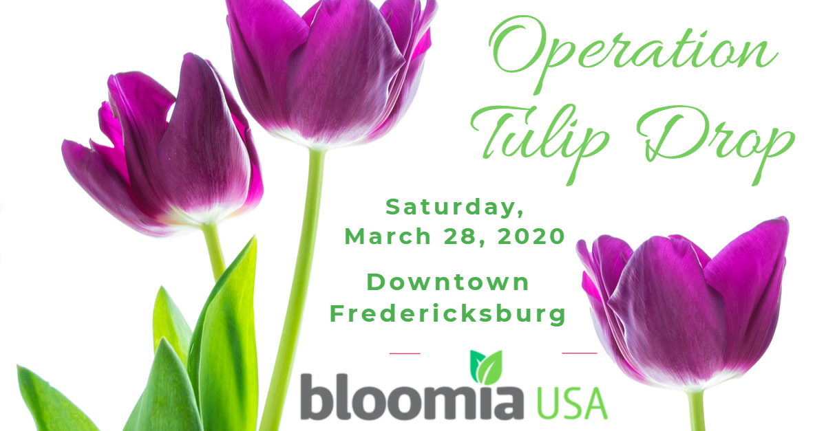 ‘Operation Tulip Drop’ coming to downtown FXBG