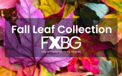 Leaf collection starting Monday in FXBG