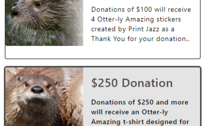 Main Street raising funds for ‘Otter-ly Amazing’ project