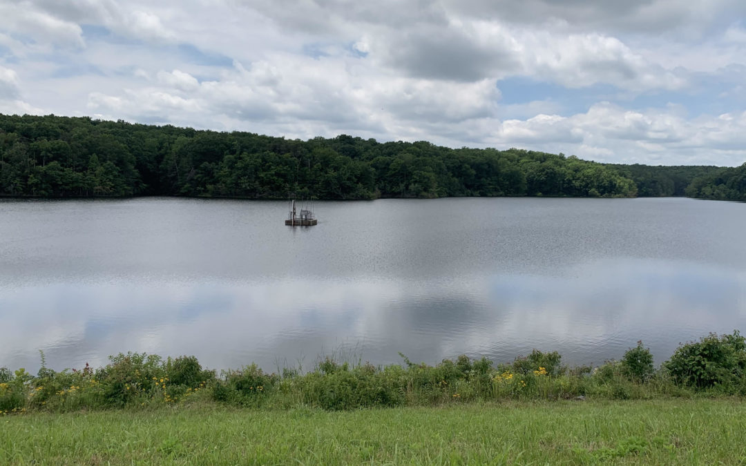 A walk in the woods at Motts Run Reservoir Trail
