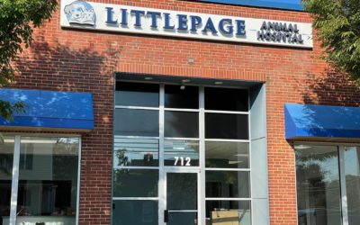 Two more businesses coming to Littlepage Street building
